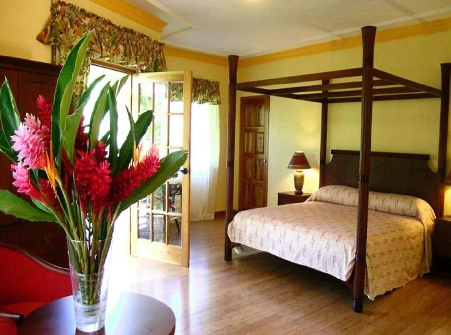 Bay View Serenity Eco Retreat And Spa Port Antonio Apartment